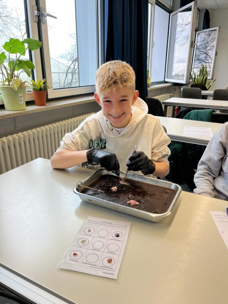 Lächelnder Schüler beim wissenschaftlichen Experiment im Klassenzimmer