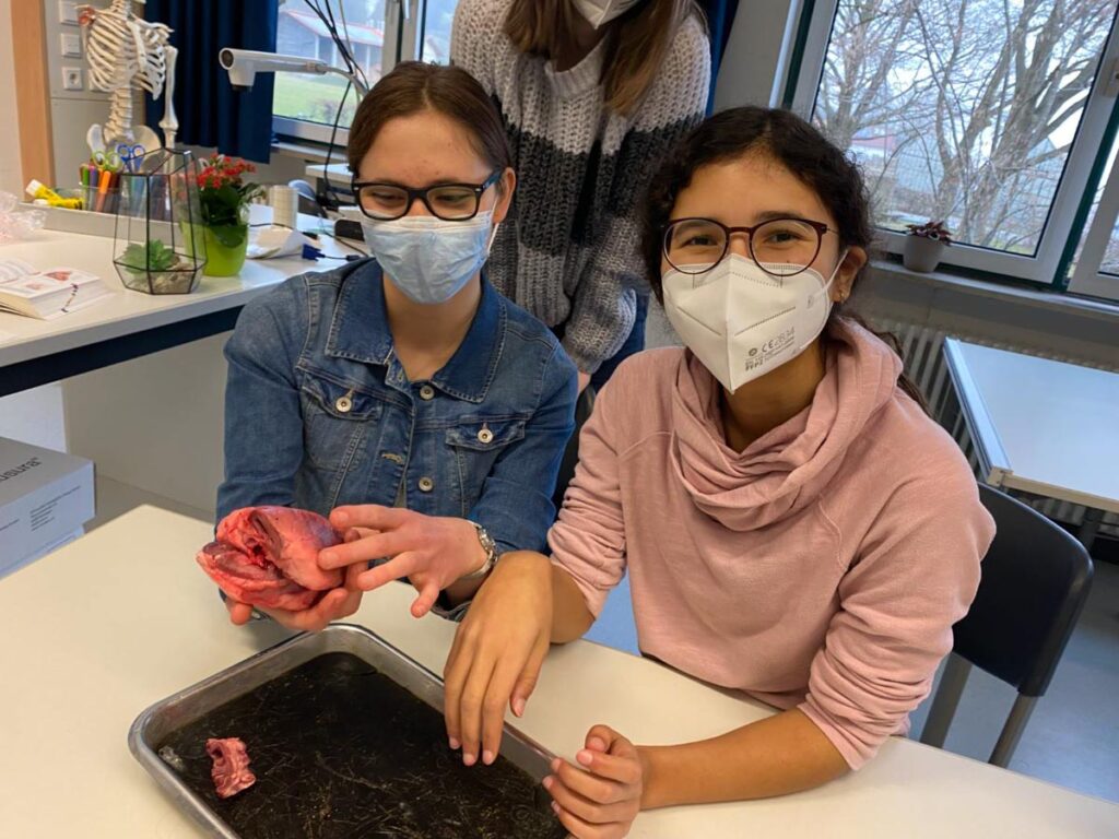 Schüler führen Biologie-Experiment im Klassenzimmer durch